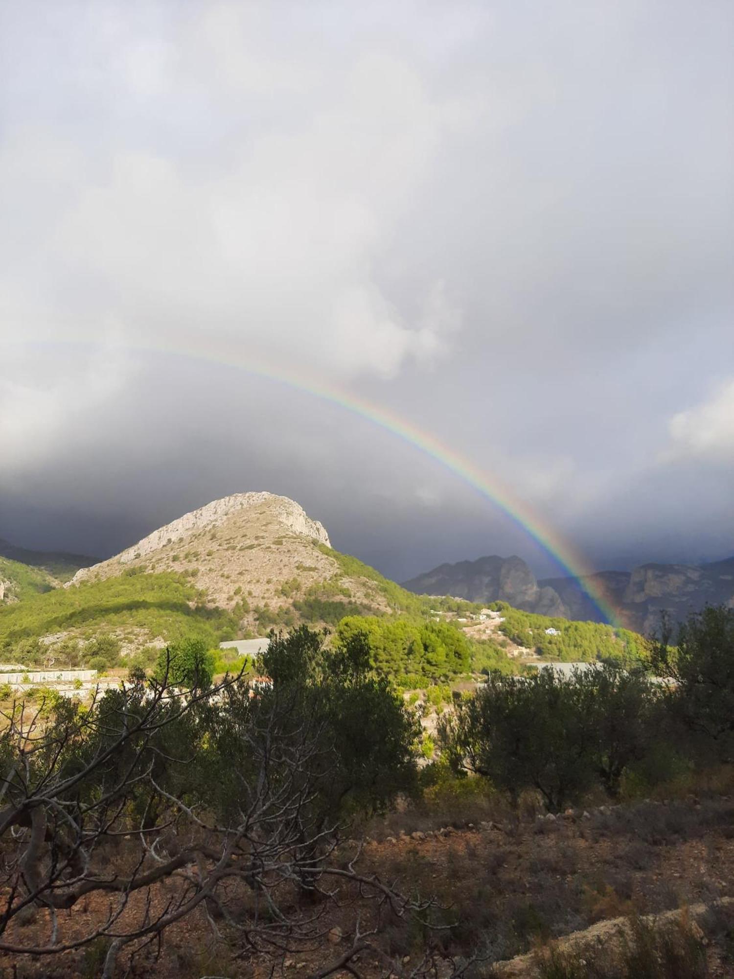 Bolulla Finca Oliva מראה חיצוני תמונה