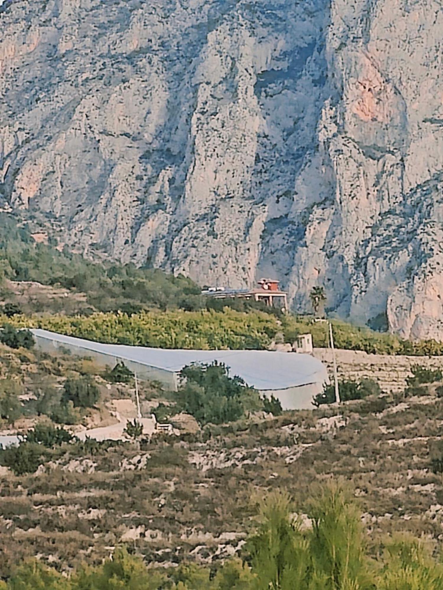 Bolulla Finca Oliva מראה חיצוני תמונה
