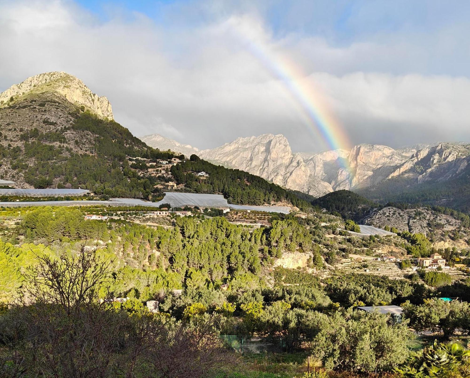 Bolulla Finca Oliva מראה חיצוני תמונה
